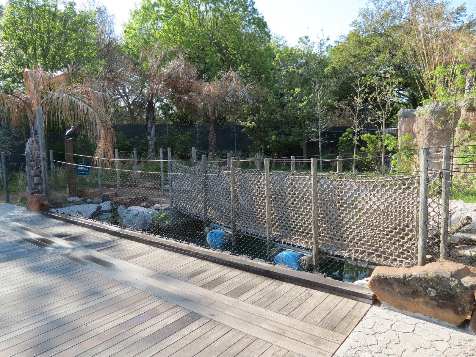 Pantanal - Floating Bridge