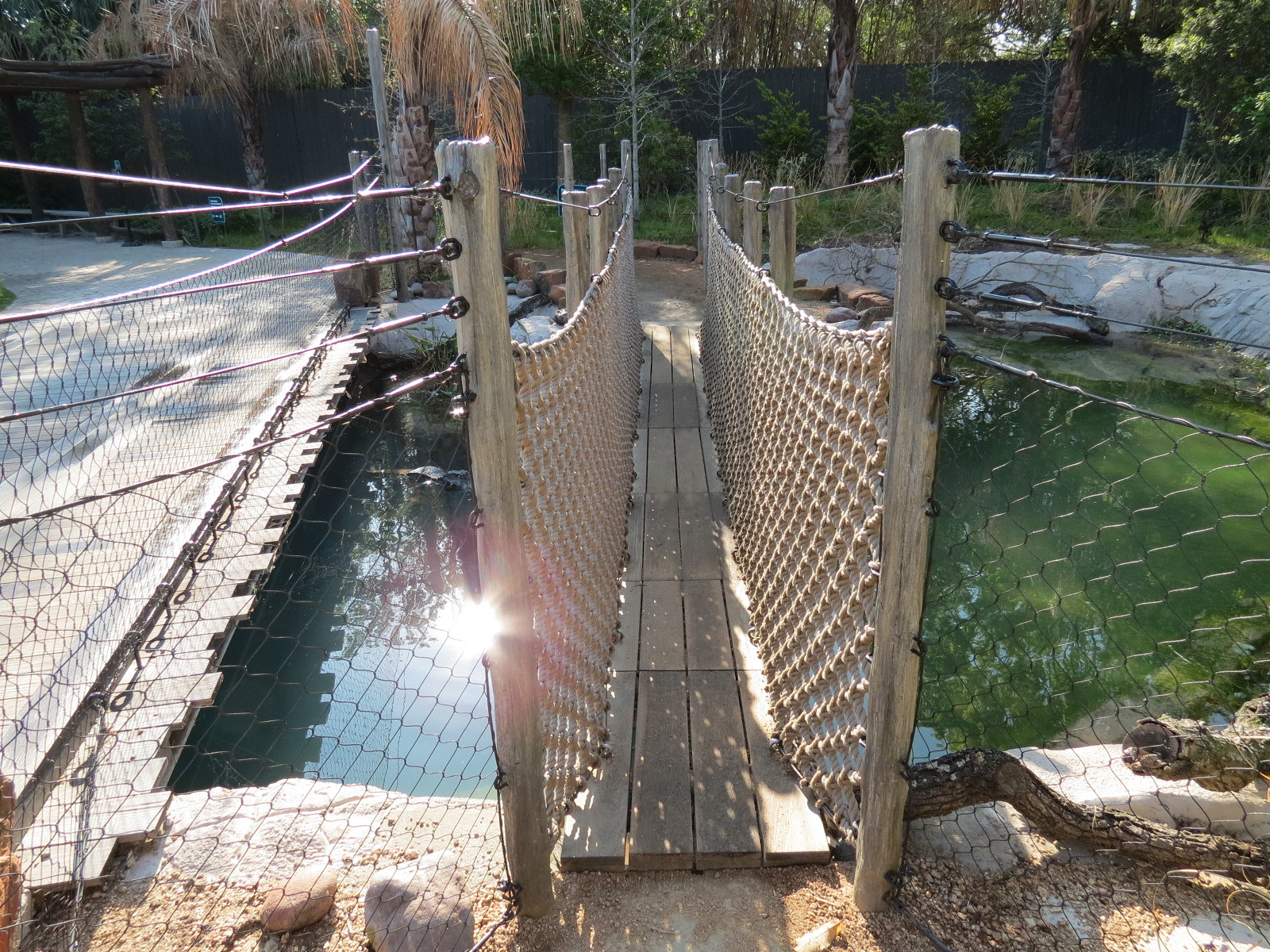 Pantanal - Floating Bridge
