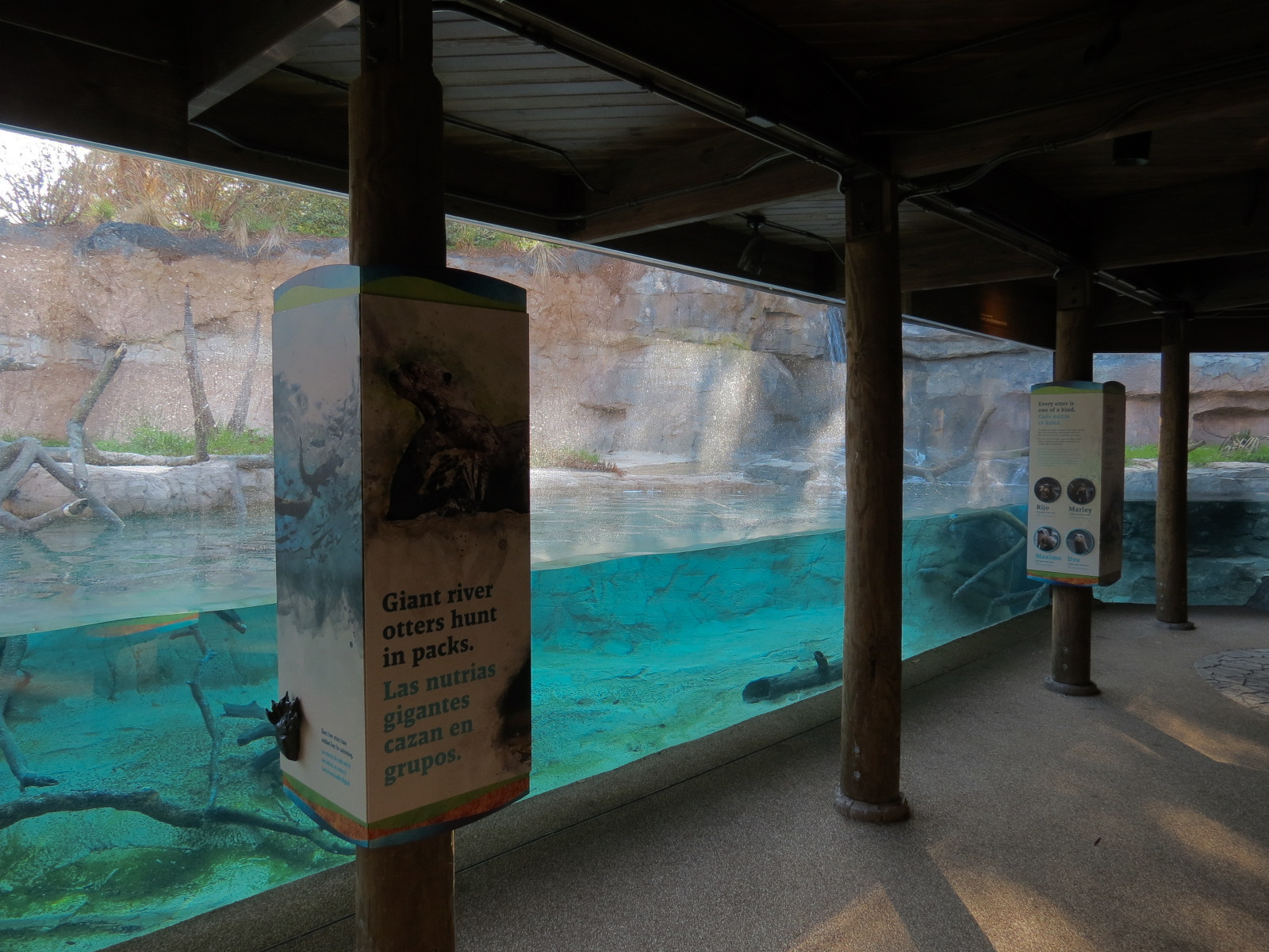 Pantanal - Giant River Otter Exhibit Viewing Building