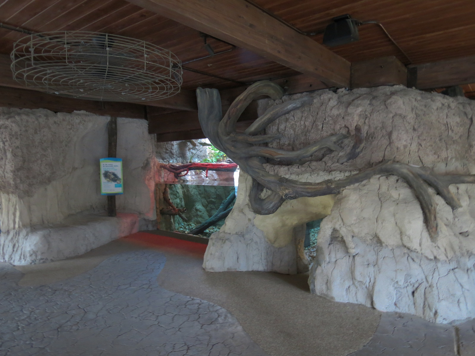 Pantanal - Green Anaconda Exhibit - Viewing Area