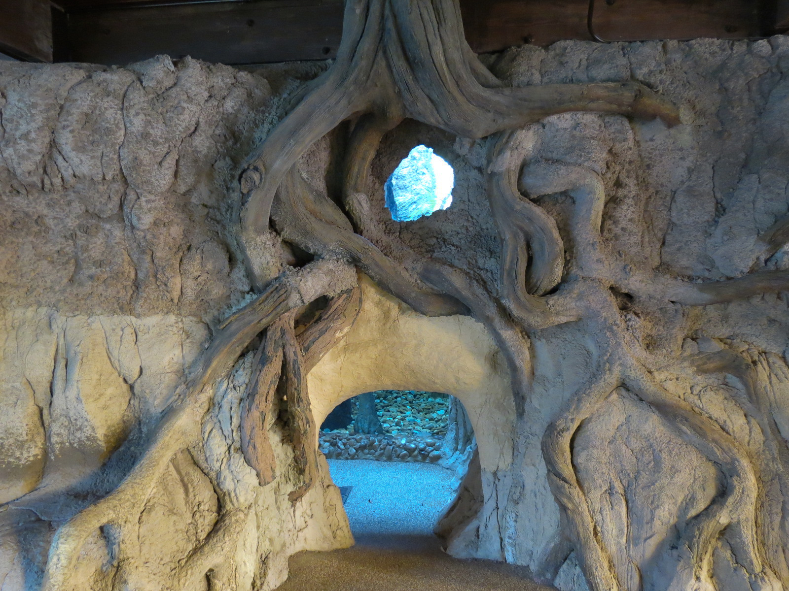 Pantanal - Green Anaconda Exhibit - Visitor Crawl Tunnel Exit