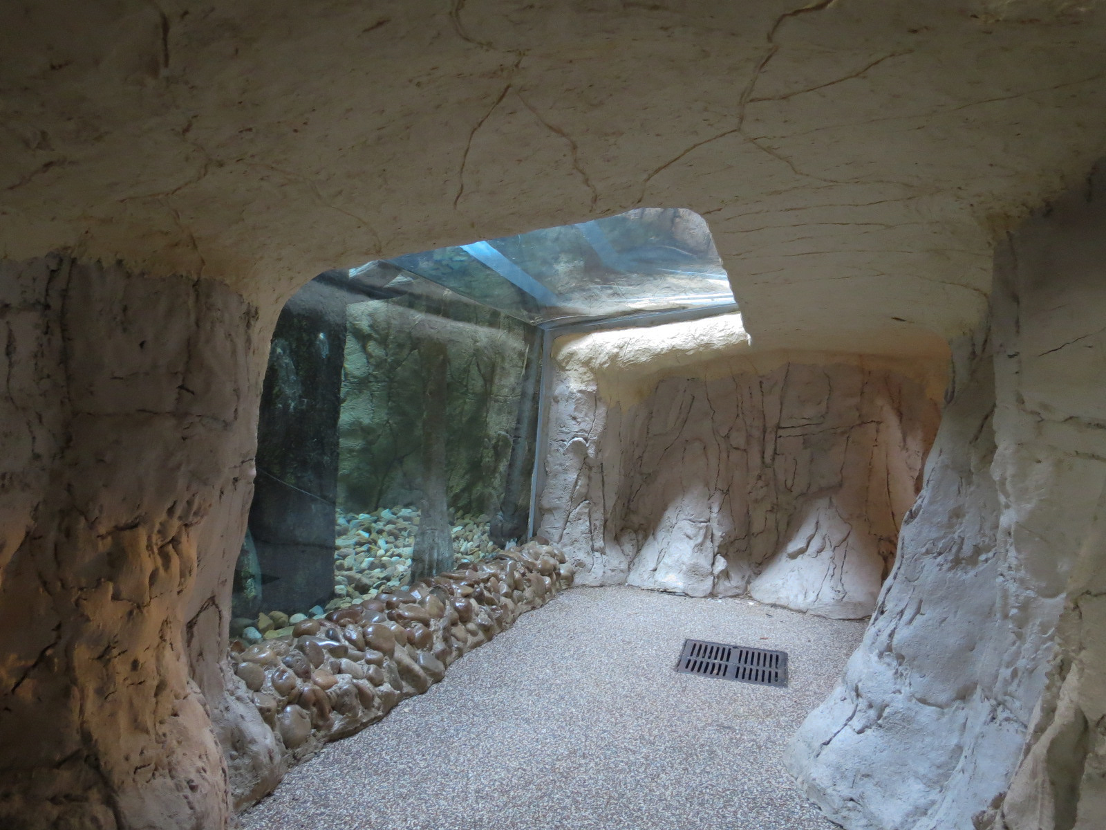 Pantanal - Green Anaconda Exhibit - Visitor Crawl Tunnel