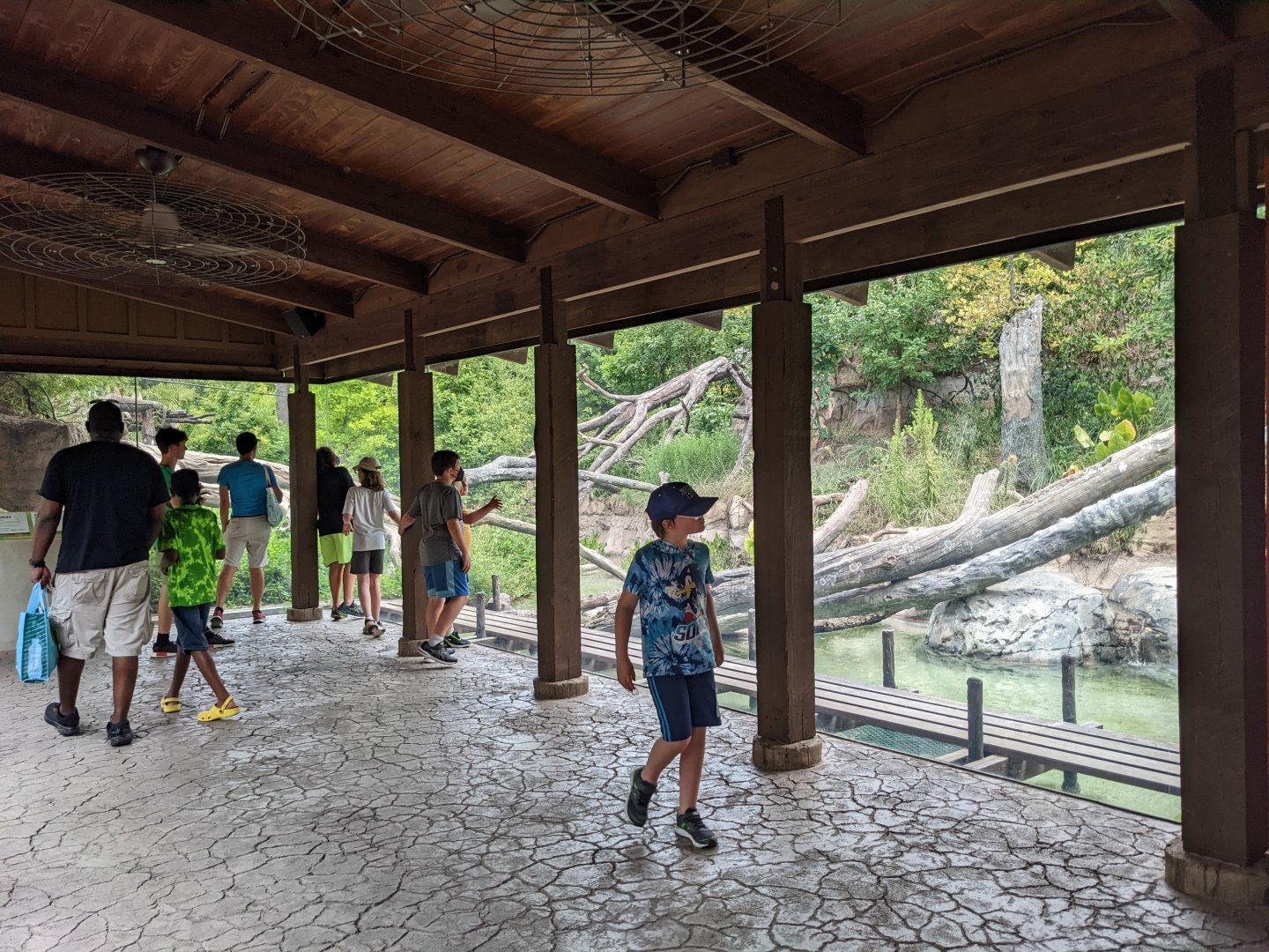Pantanal - Jaguar enclosure