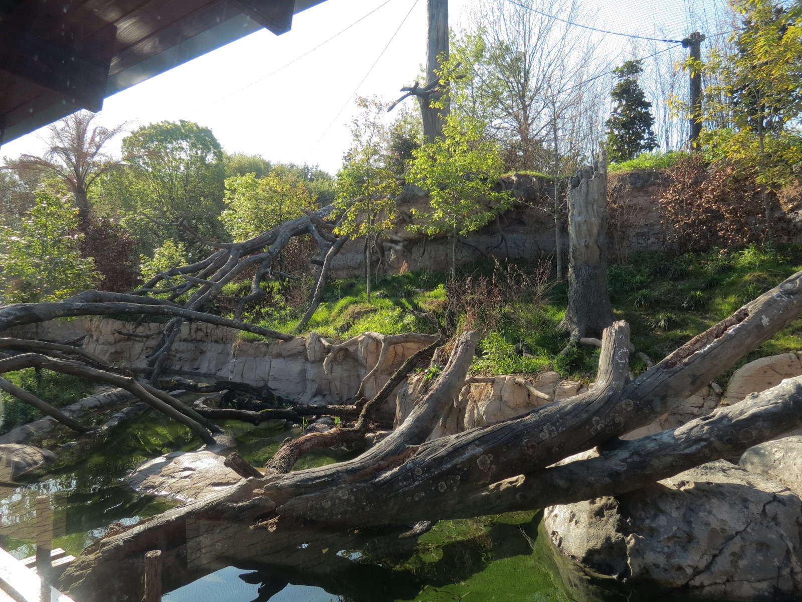Pantanal - Jaguar Exhibit - Interior