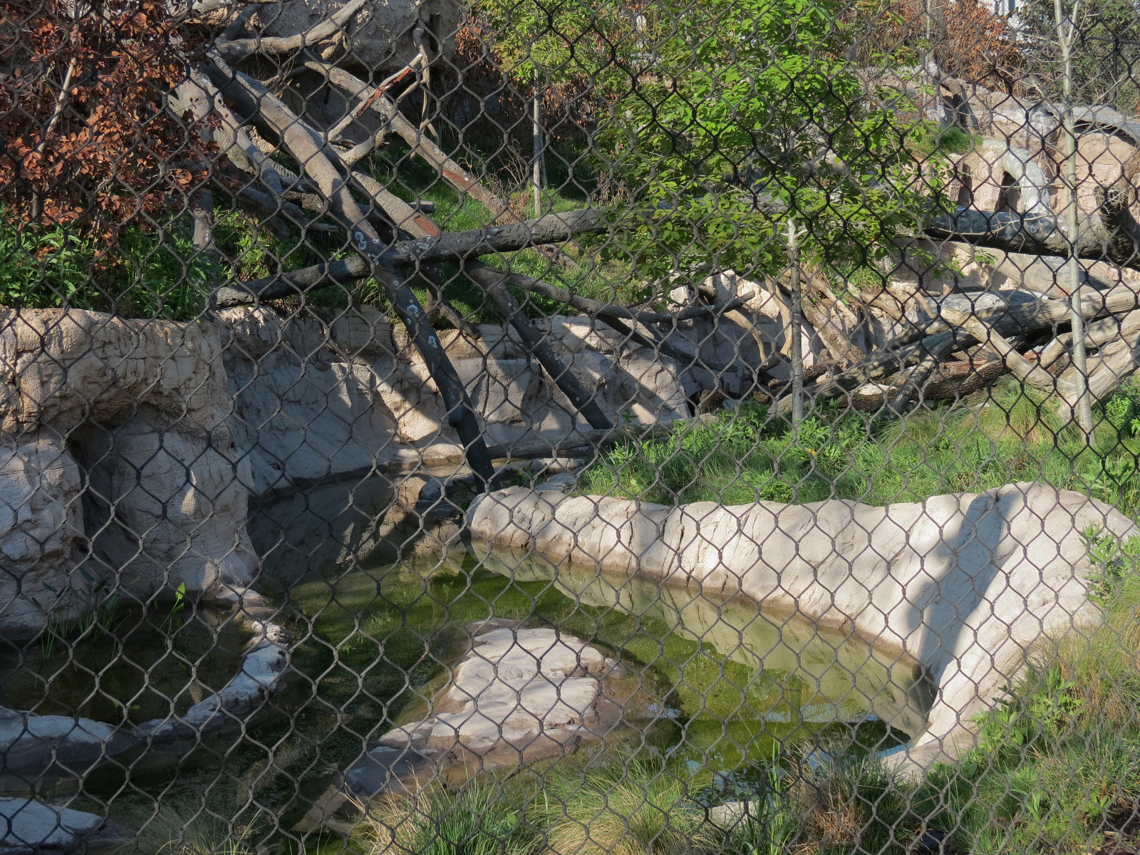 Pantanal - Jaguar Exhibit - Interior