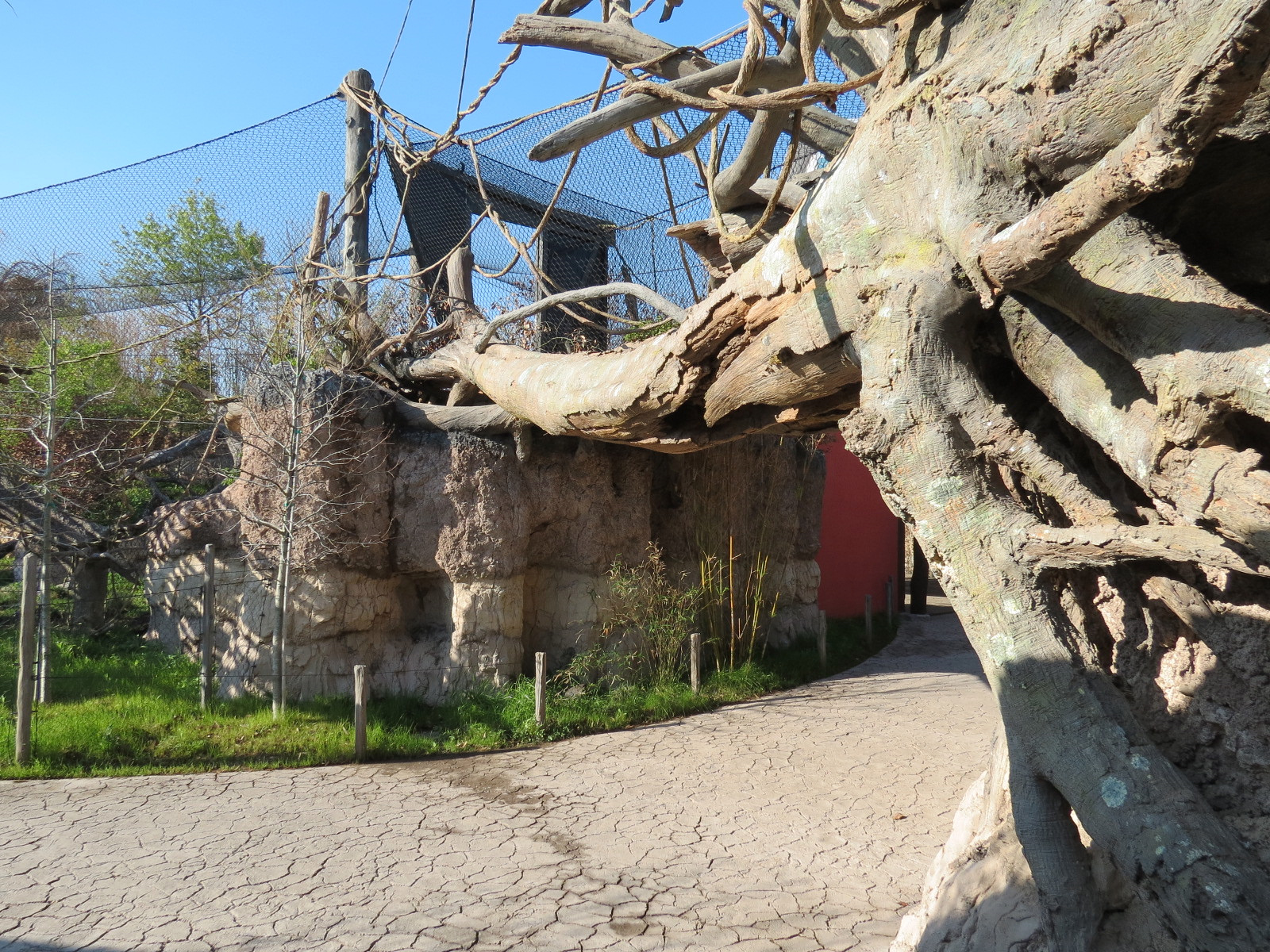 Pantanal - Jaguar Exhibit - Transfer Bridge Over Visitor Path