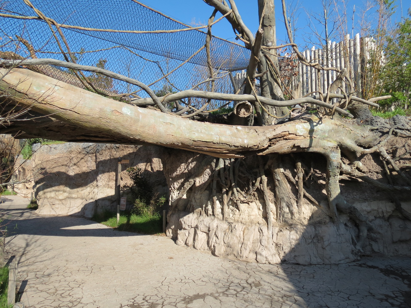 Pantanal - Jaguar Exhibit - Transfer Bridge Over Visitor Path