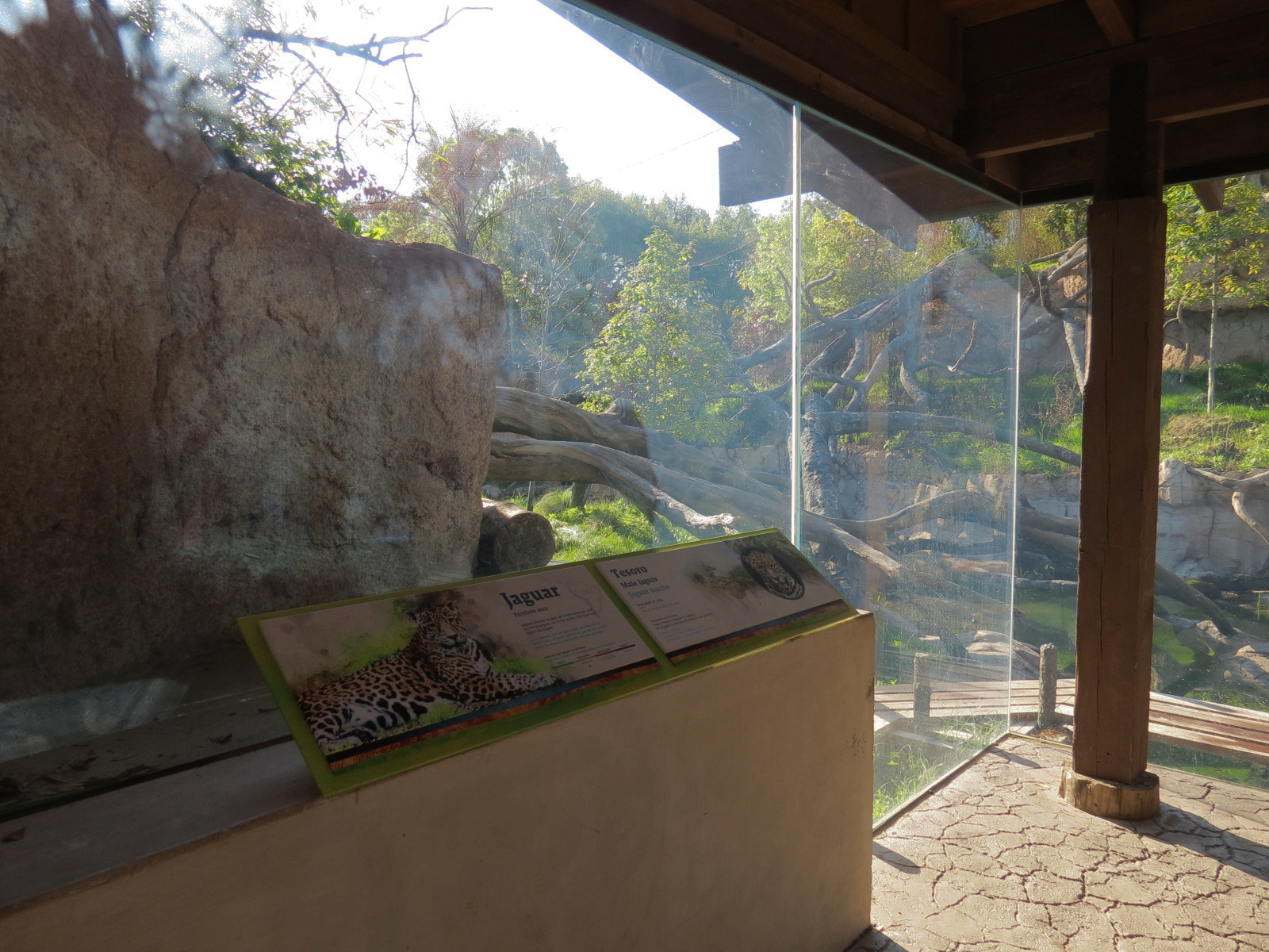 Pantanal - Jaguar Exhibit - Viewing Shelter