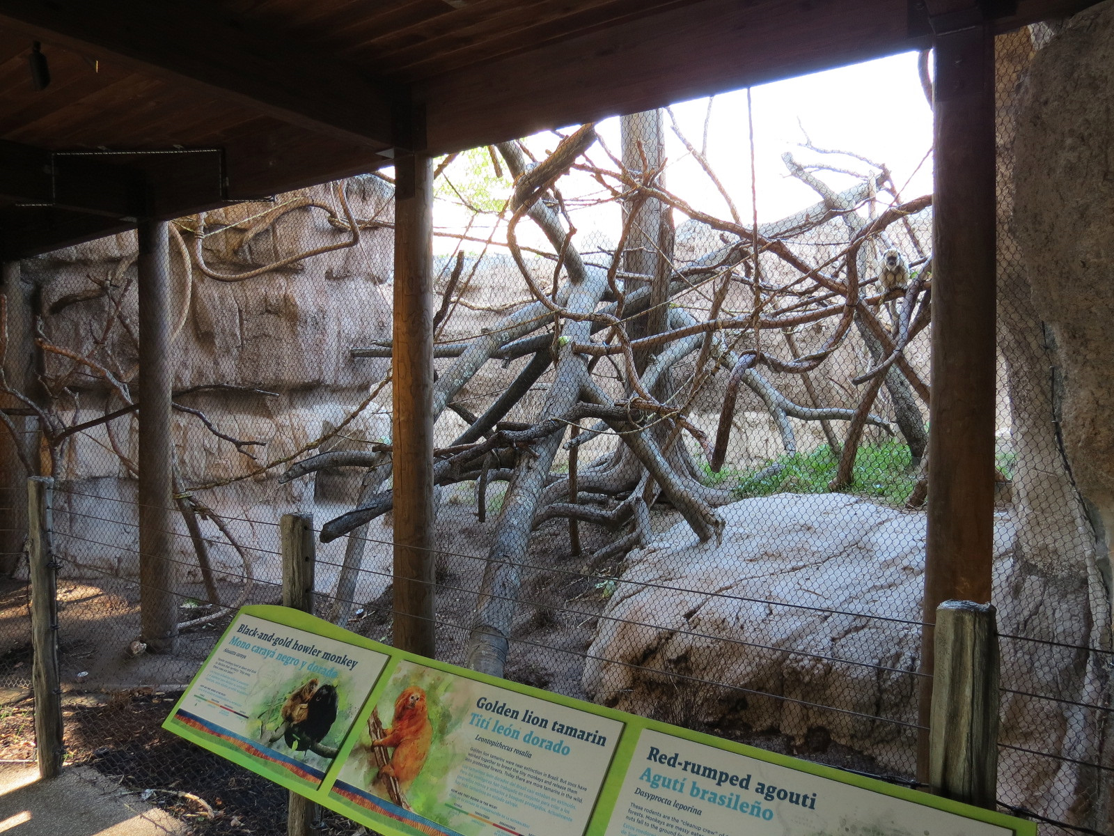Pantanal - Mixed Primate Exhibit - Viewing Area