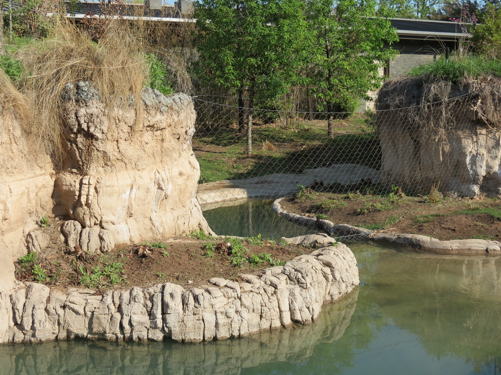 Pantanal - Mixed Species Exhibit - Interior