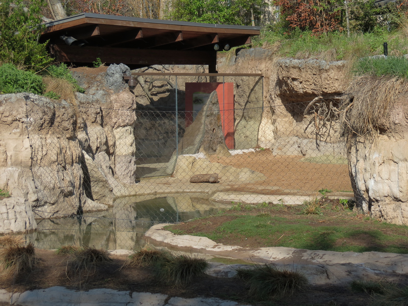 Pantanal - Mixed Species Exhibit - Interior