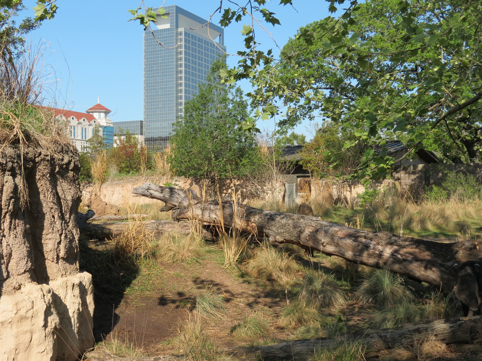 Pantanal - Mixed Species Exhibit - Interior