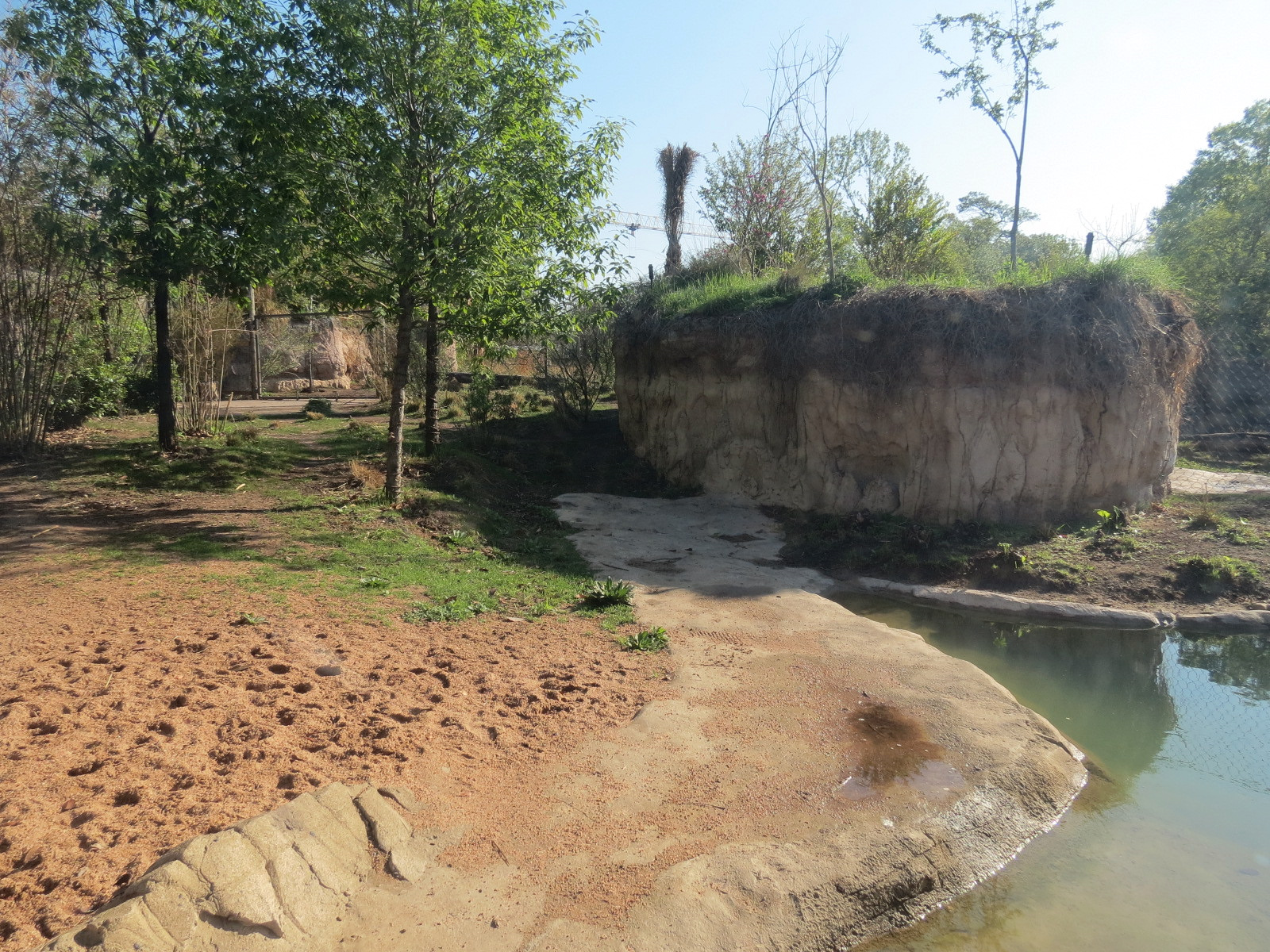 Pantanal - Mixed Species Exhibit - Side Yard Interior