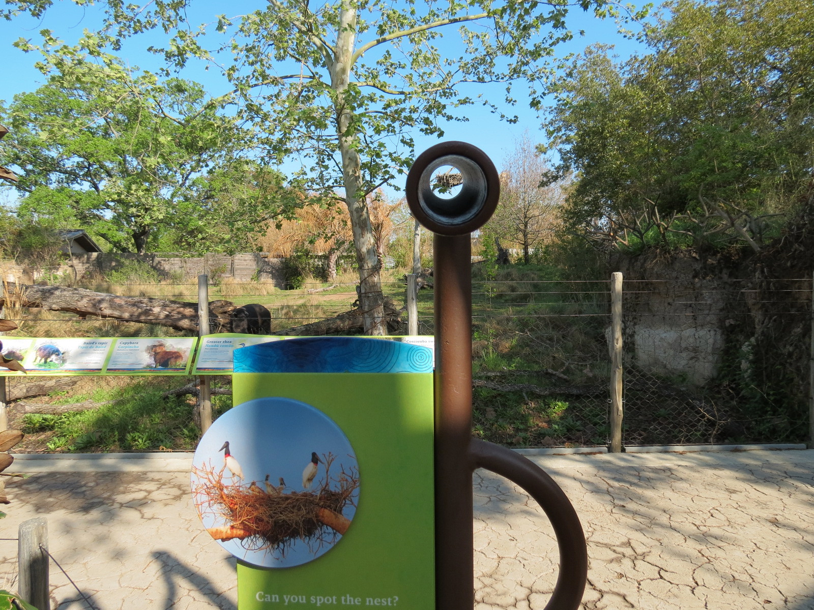 Pantanal - Mixed Species Exhibit - Simulated Jabiru Stork Nest Scope