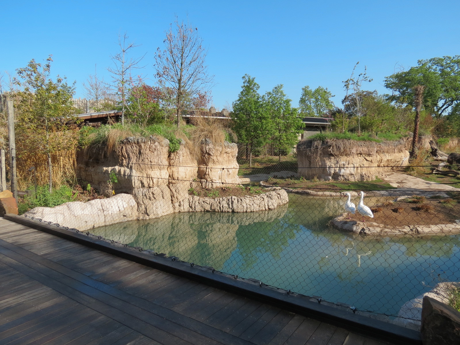 Pantanal - Mixed Species Exhibit - Viewing Area