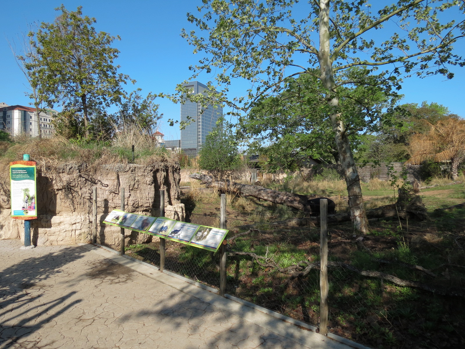 Pantanal - Mixed Species Exhibit - Viewing Area