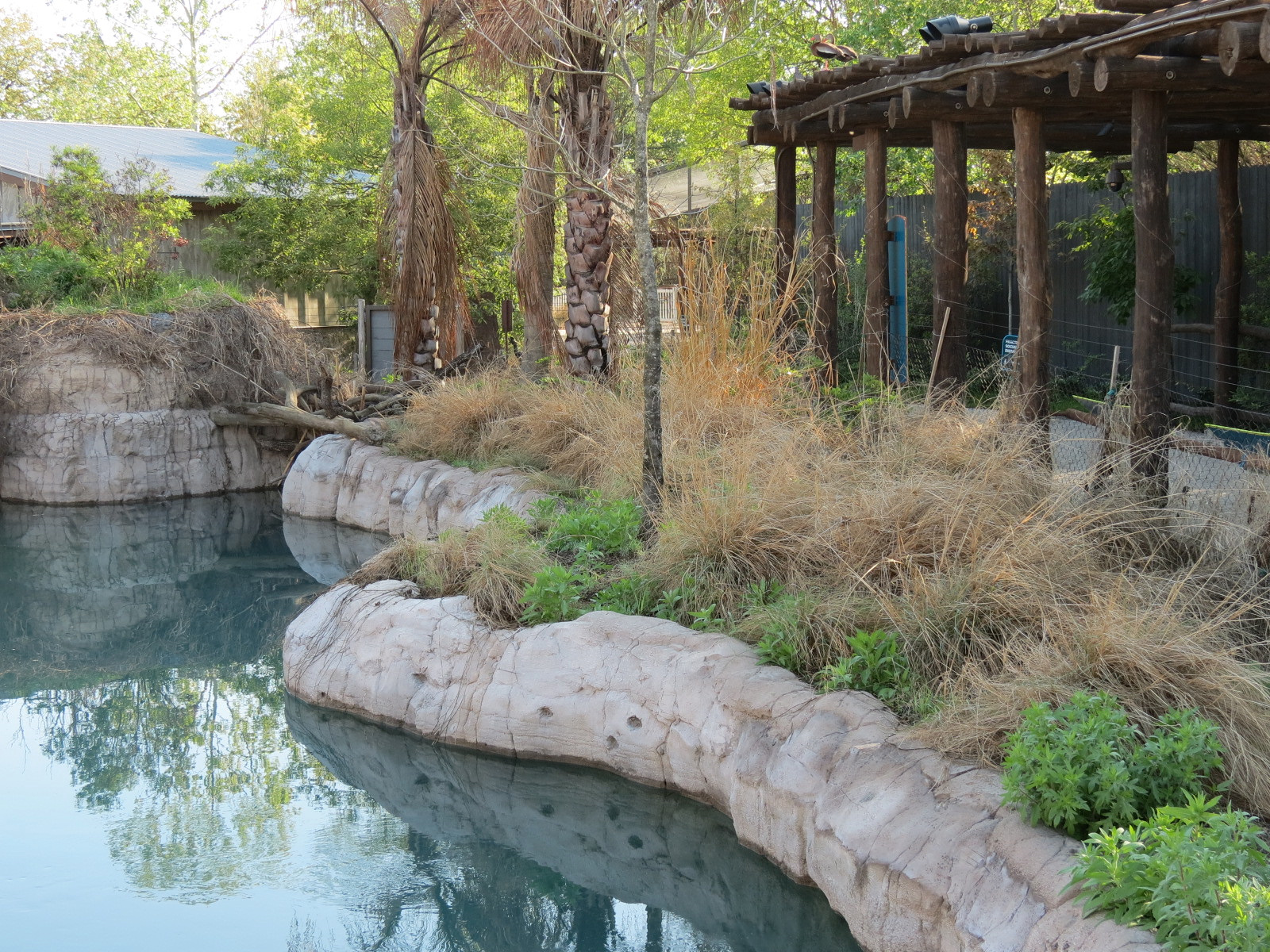Pantanal - Mixed Species Exhibit - Viewing Pergola
