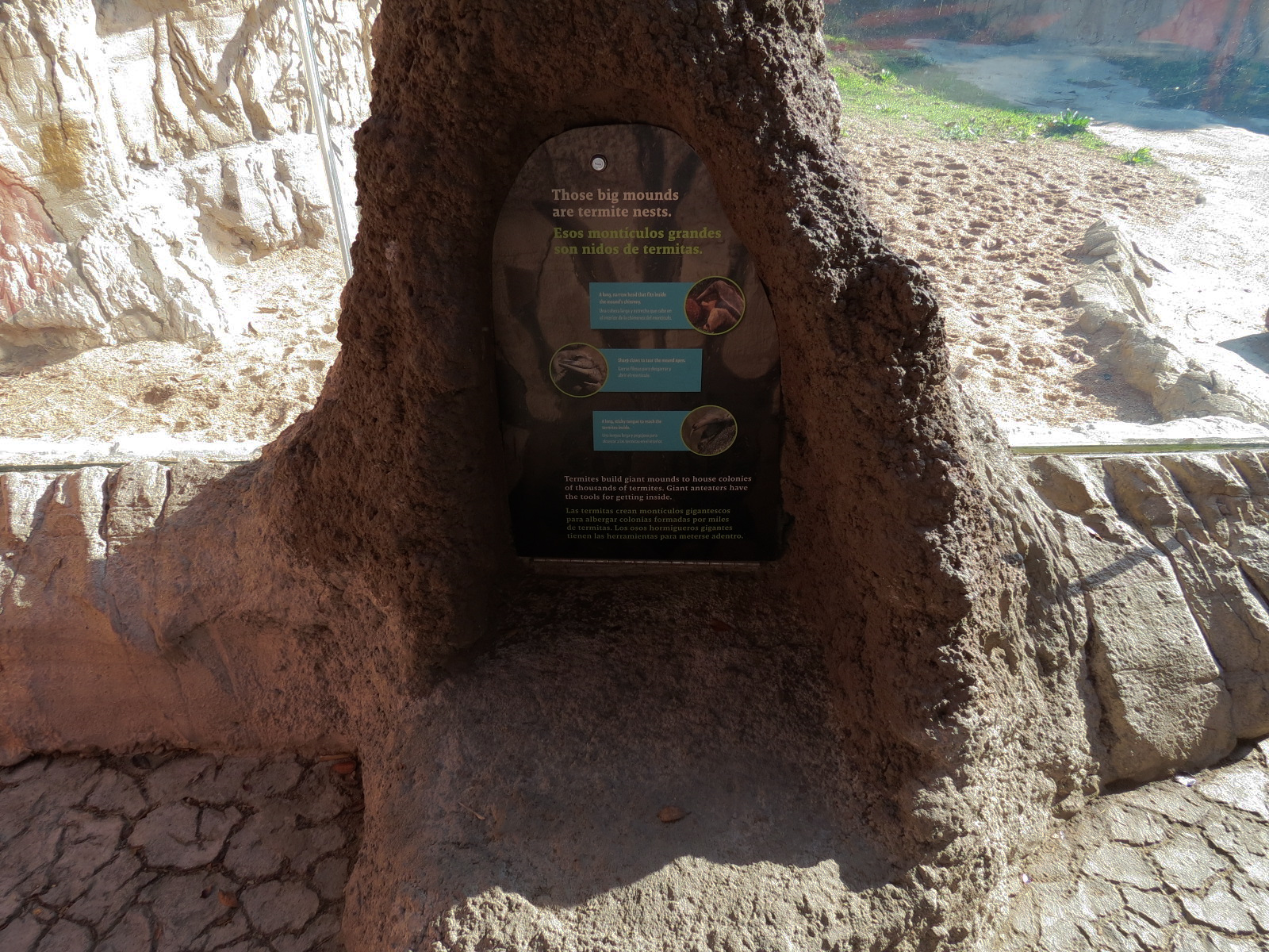 Pantanal - Mixed Species Exhibit - Viewing Shelter - Simulated Termite Mound