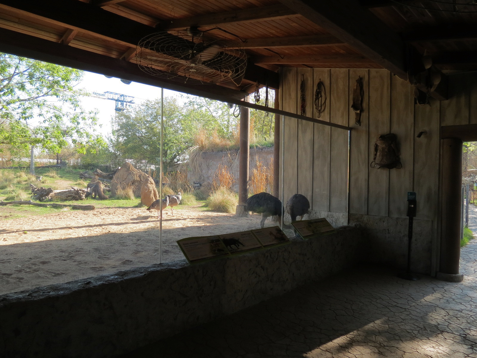 Pantanal - Mixed Species Exhibit - Viewing Shelter