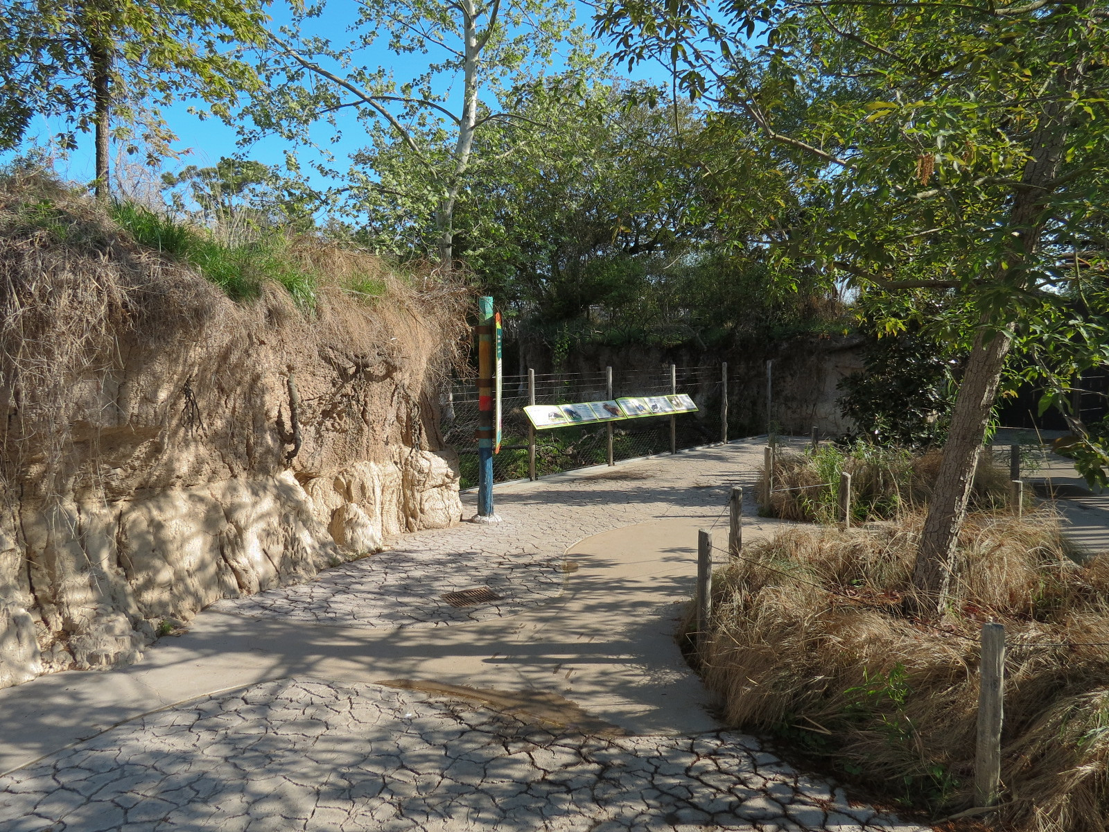 Pantanal - Mixed Species Exhibit - Visitor Path
