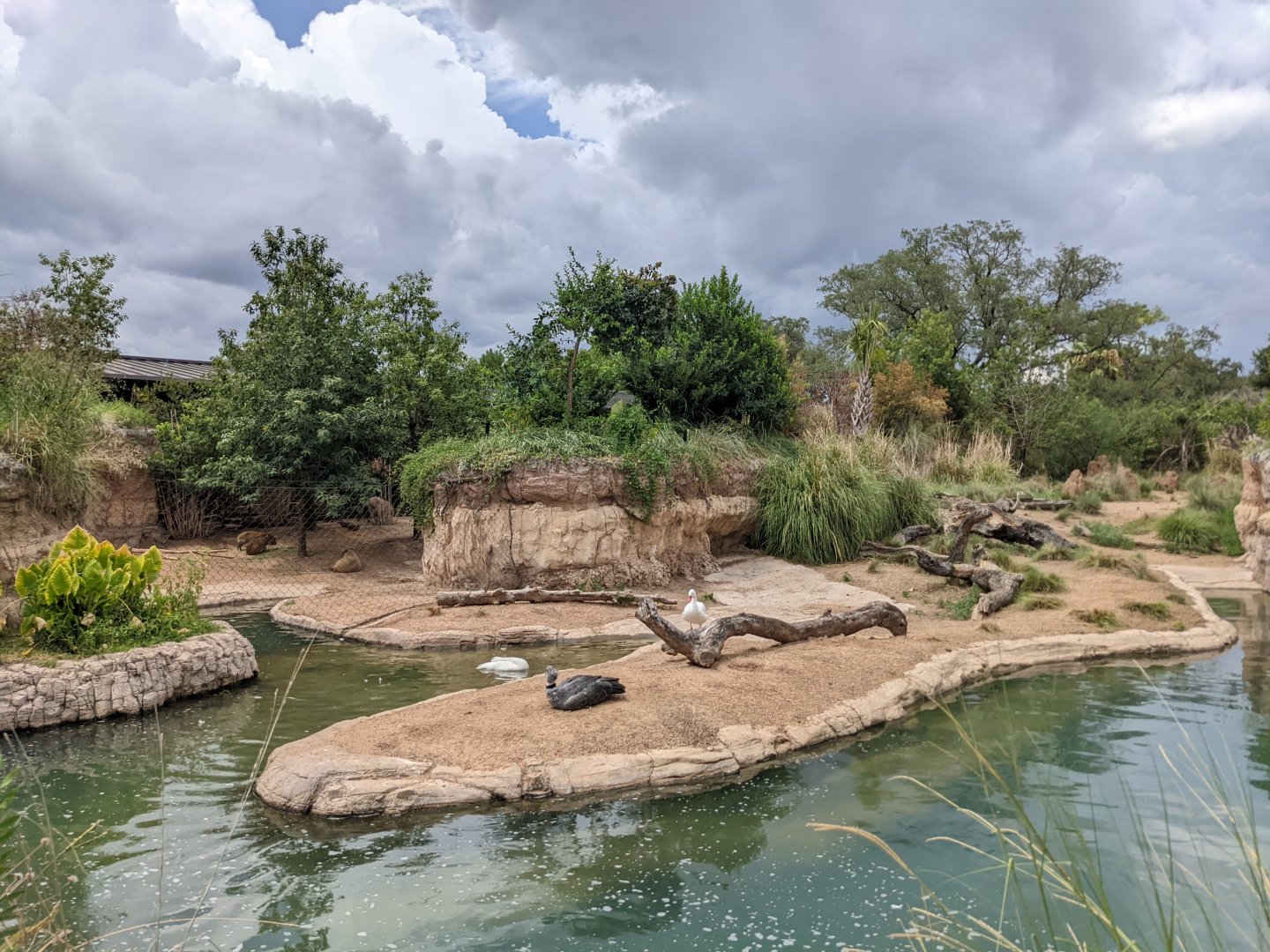 Pantanal - Mixed species (viewing 1)