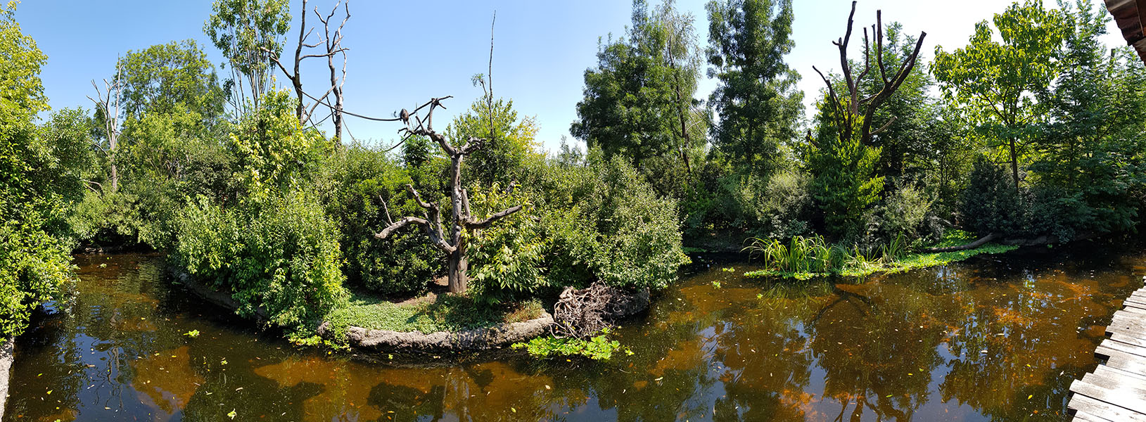 Pantanal: Ranger's hut outlook on monkey islands panorama