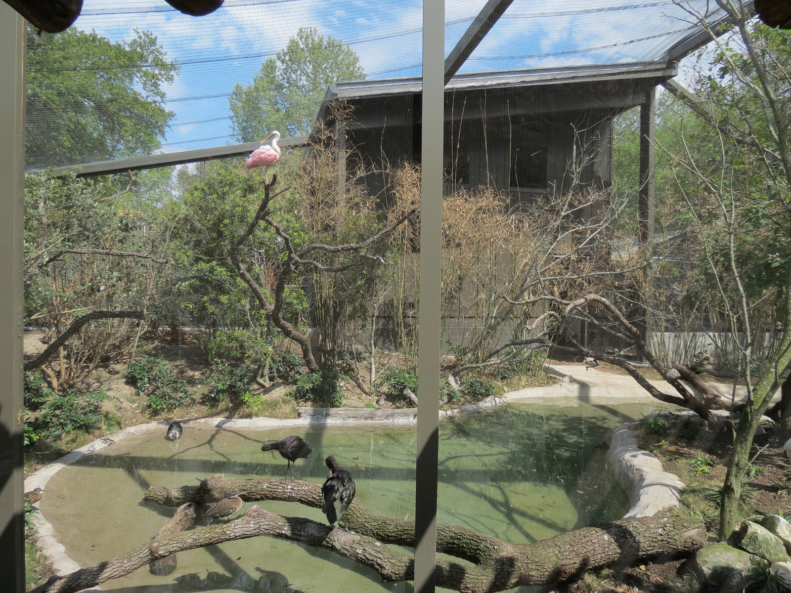 Pantanal - Refurbished Aviary - Interior