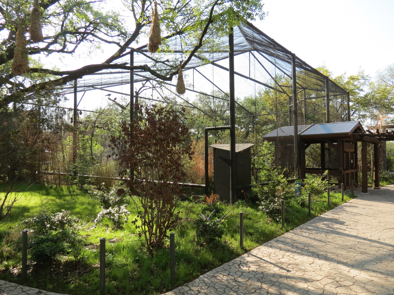 Pantanal - Refurbished Walk-through Aviary - Exterior