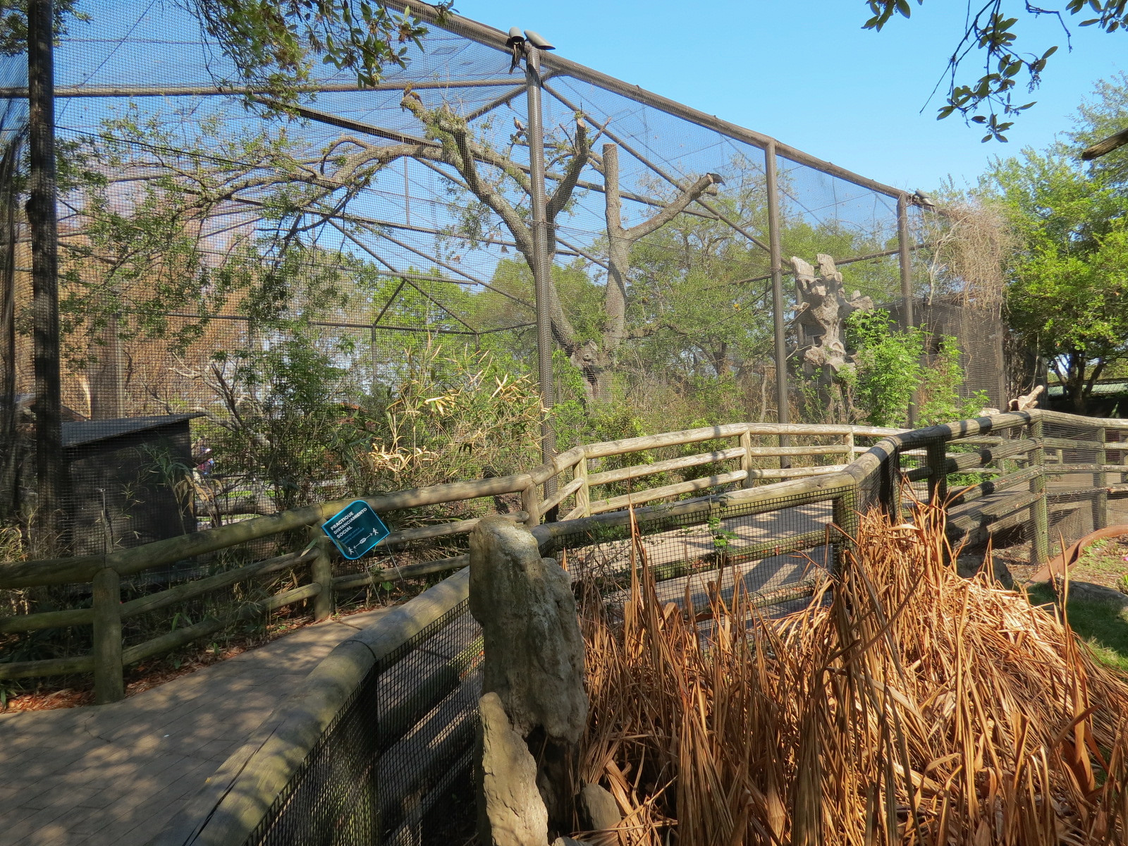 Pantanal - Refurbished Walk-through Aviary - Exterior