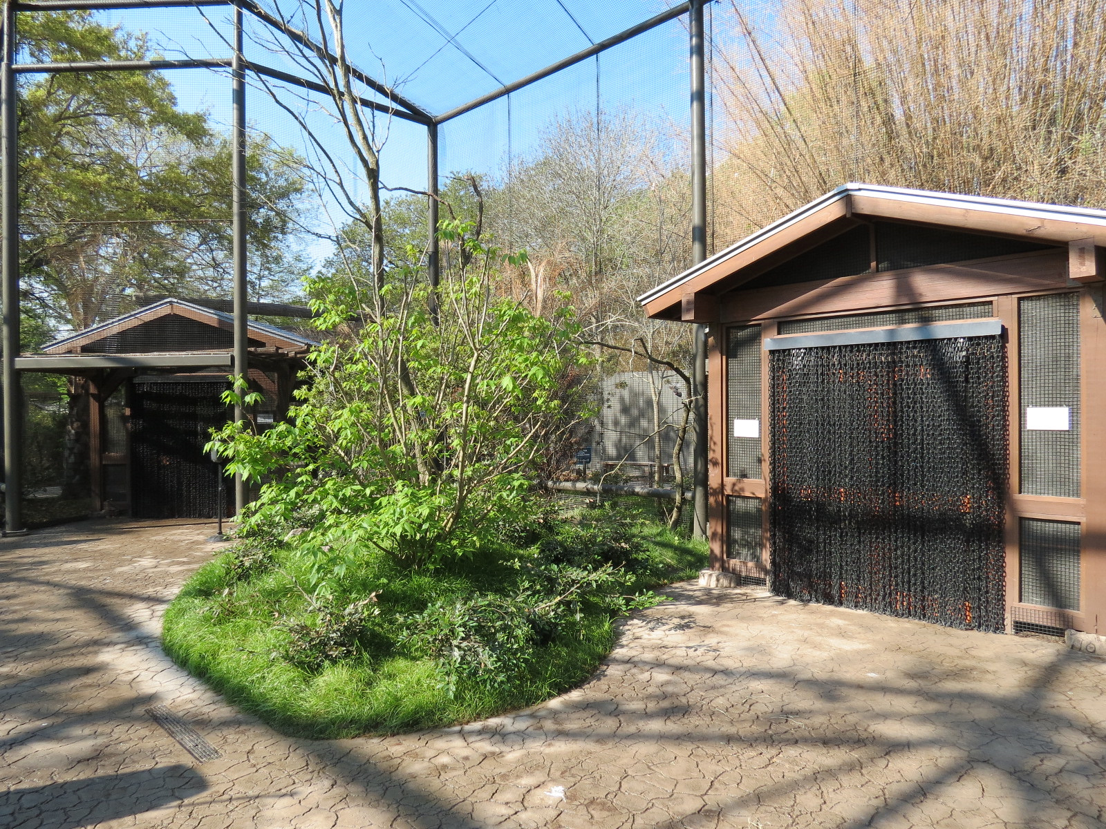 Pantanal - Refurbished Walk-through Aviary - Interior