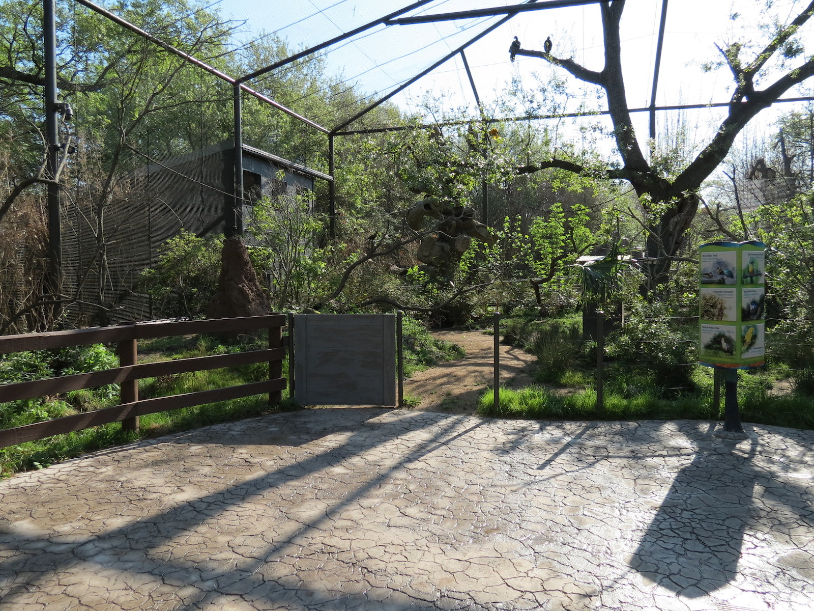 Pantanal - Refurbished Walk-through Aviary - Interior