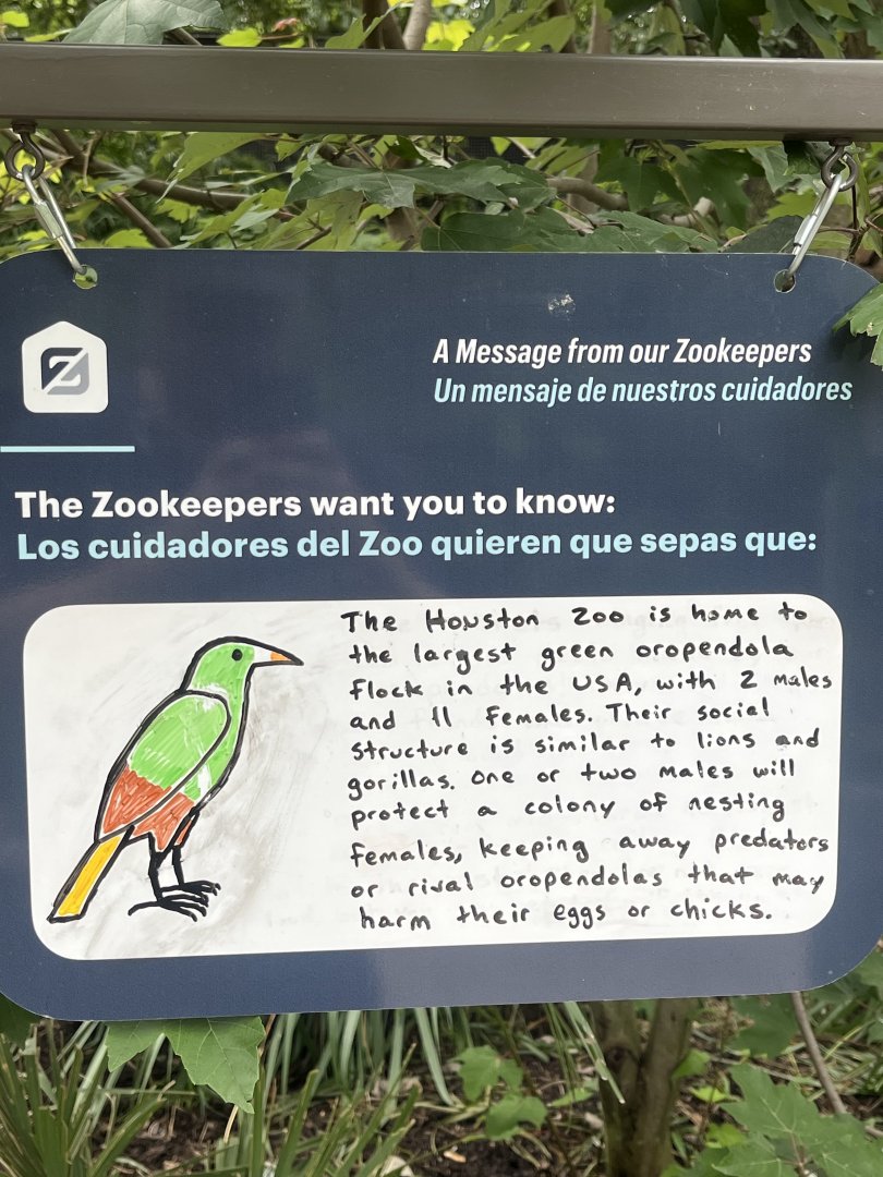 Pantanal-Savanna Aviary