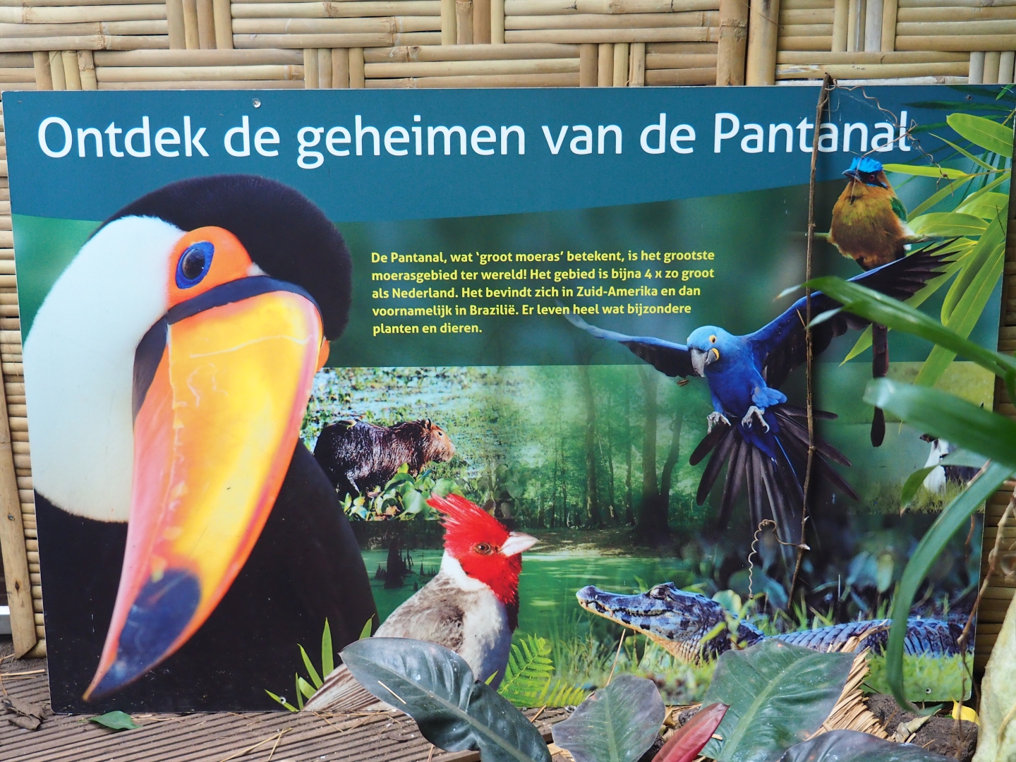 Pantanal sign (Sep 2nd, 2018)