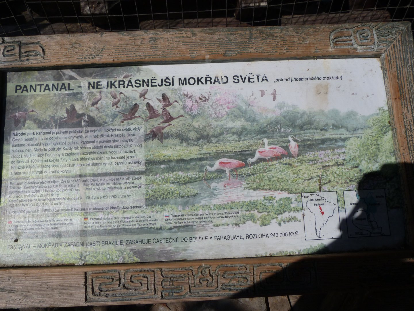 Pantanal sign -Zoo Praha (2025)