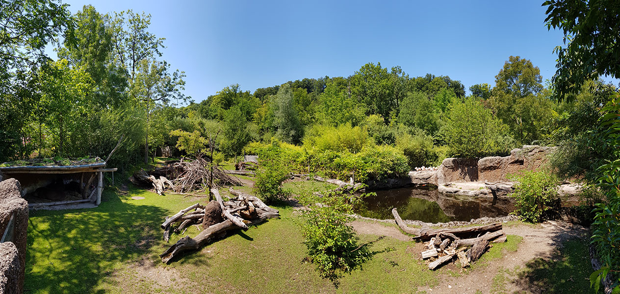 Pantanal; tapir, capibara, anteater & friends enclosure: Main section, viewpoint 1 panorama