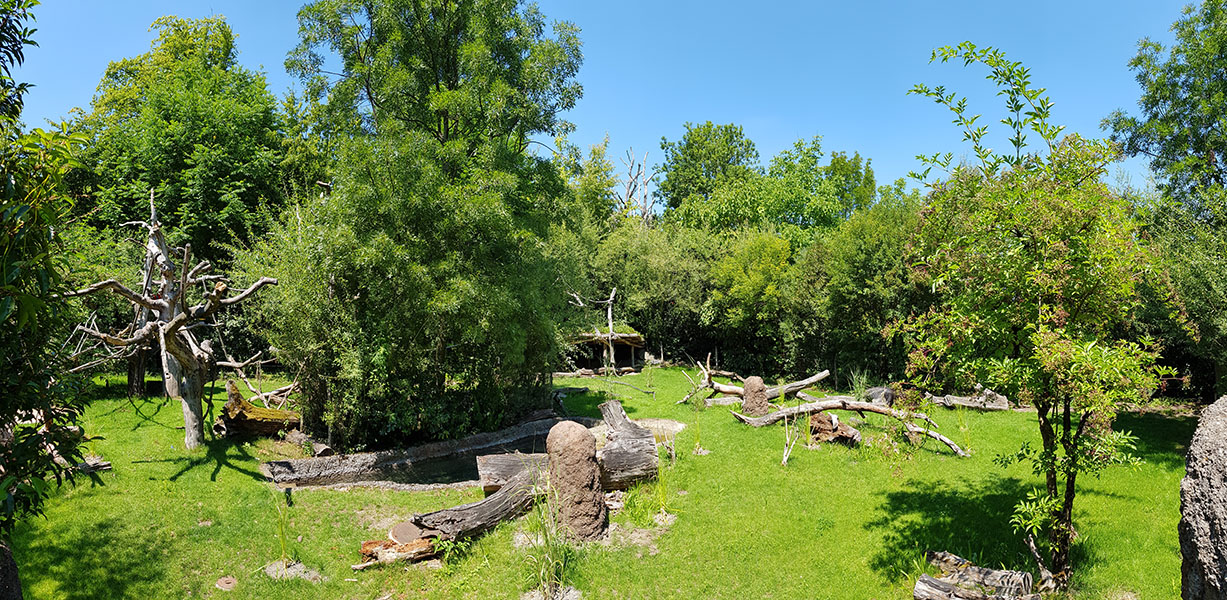 Pantanal; tapir, capibara, anteater & friends enclosure: Section 3, viewpoint 1 panorama