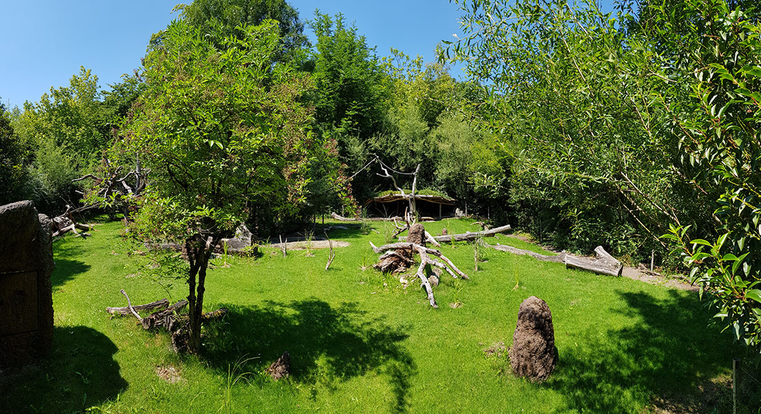 Pantanal; tapir, capibara, anteater & friends enclosure: Section 3, viewpoint 2 panorama