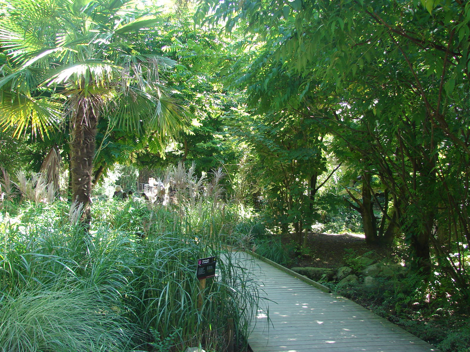 Pantanal walkthrough aviary