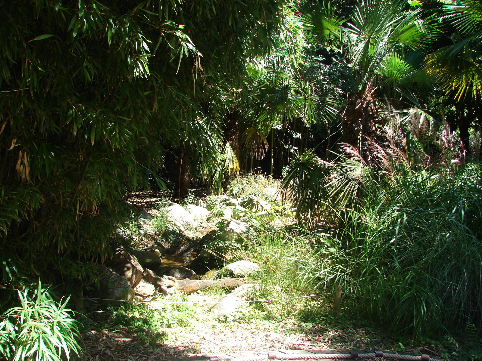 Pantanal walkthrough aviary