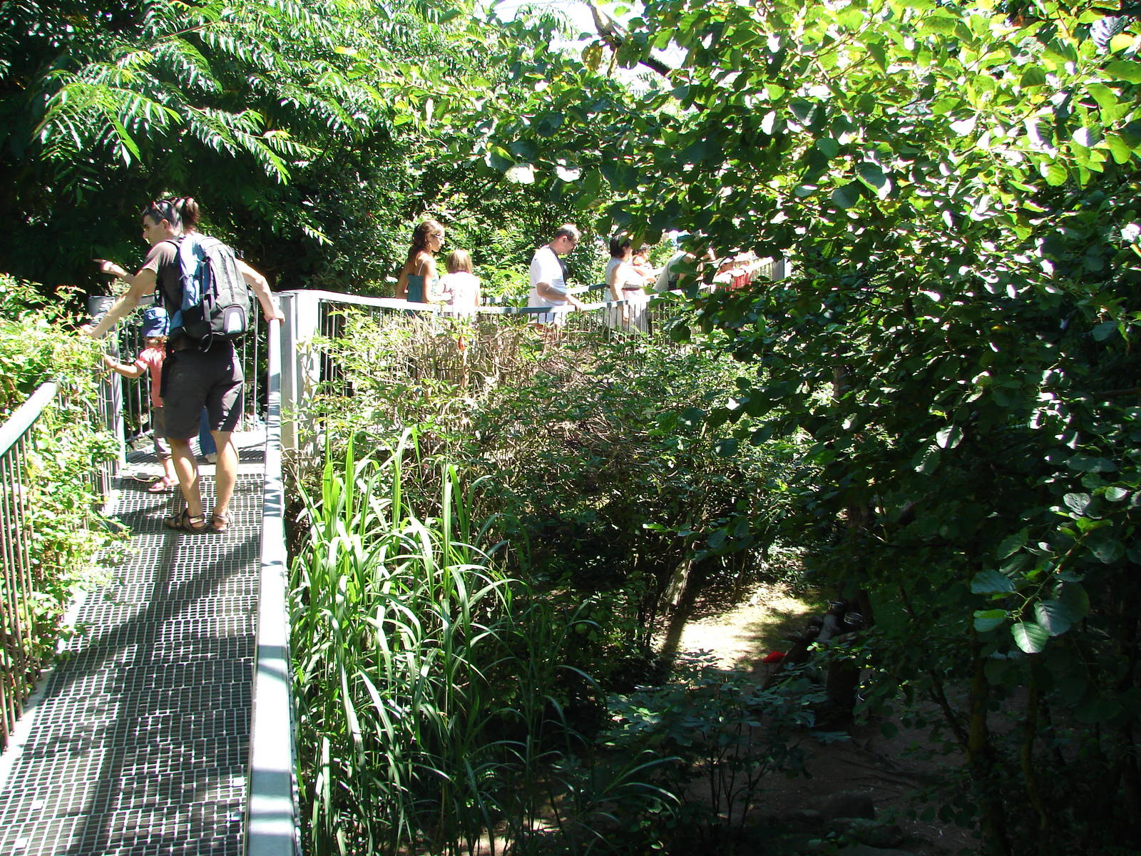 Pantanal walkthrough aviary