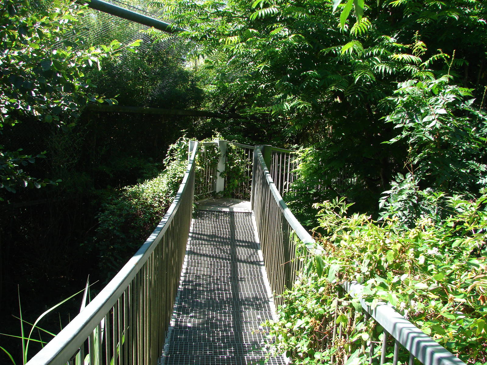 Pantanal walkthrough aviary