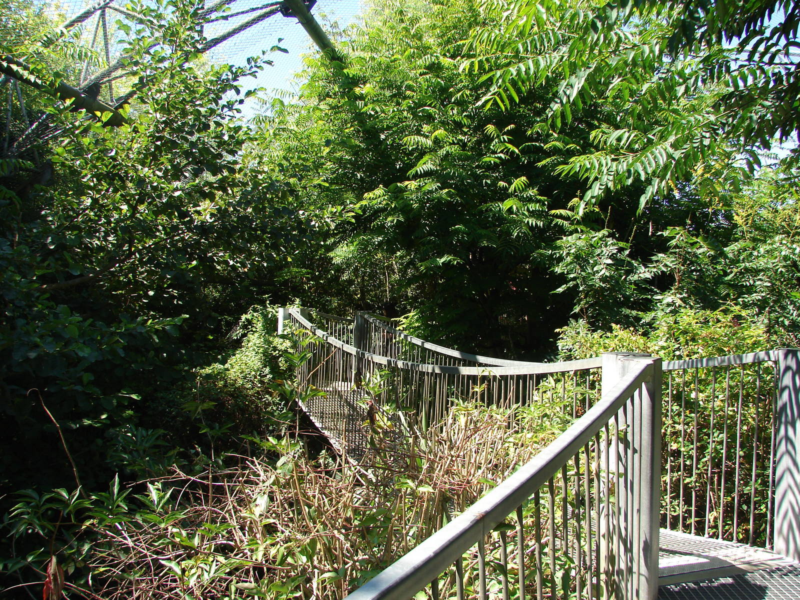 Pantanal walkthrough aviary