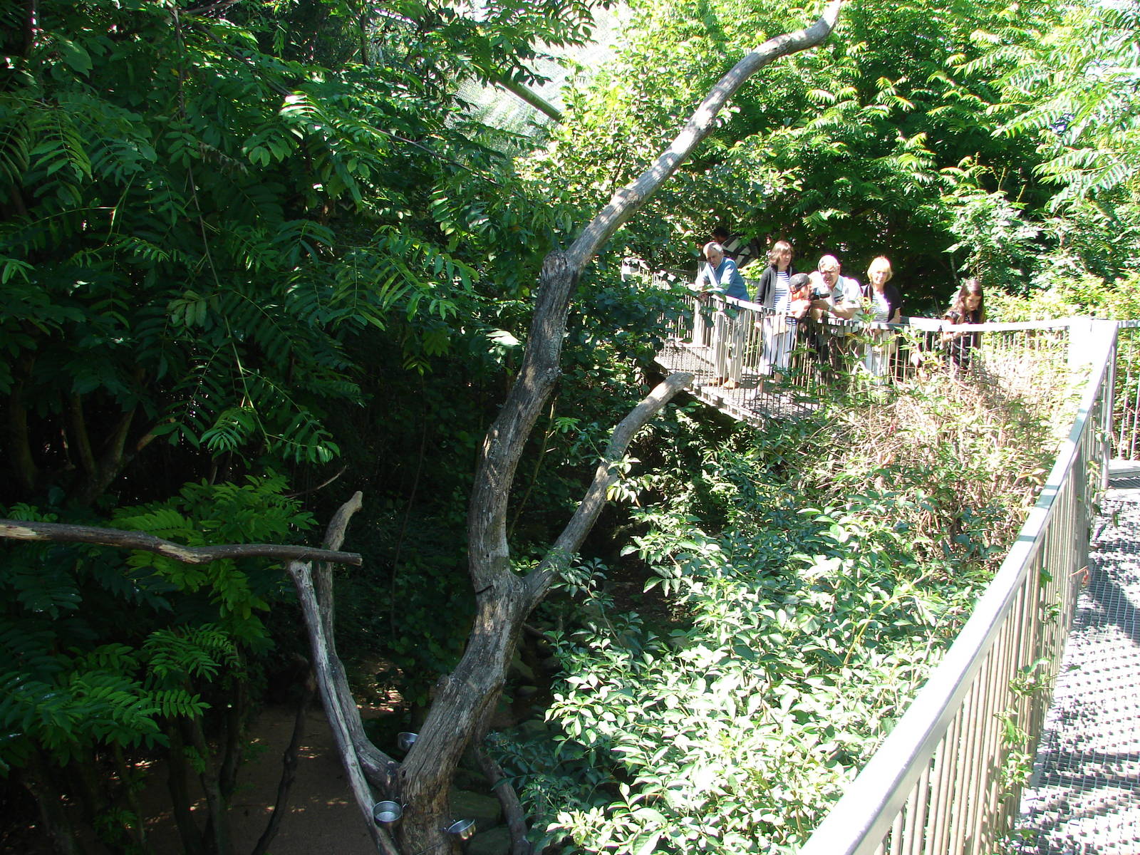 Pantanal walkthrough aviary