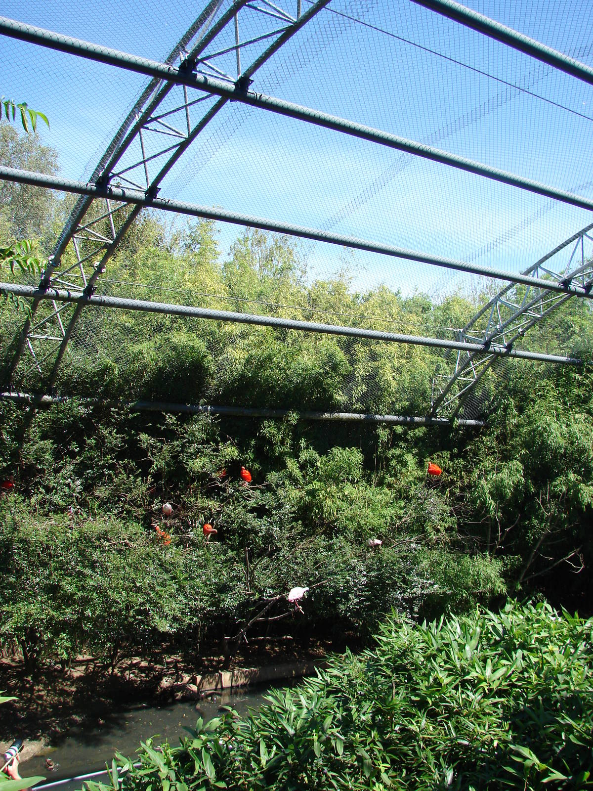 Pantanal walkthrough aviary