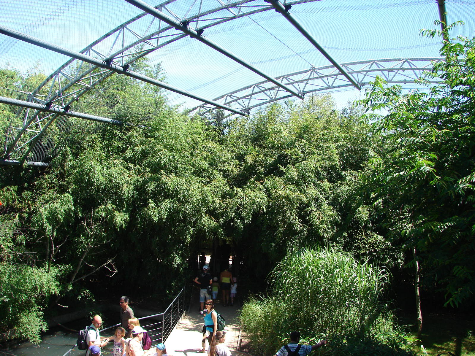 Pantanal walkthrough aviary