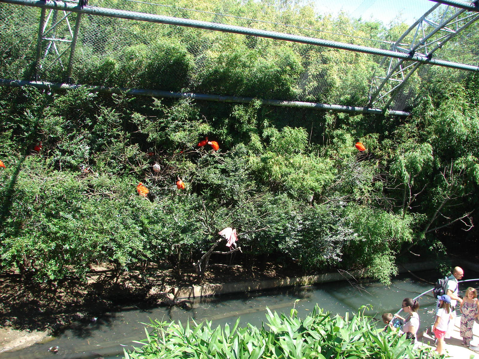 Pantanal walkthrough aviary