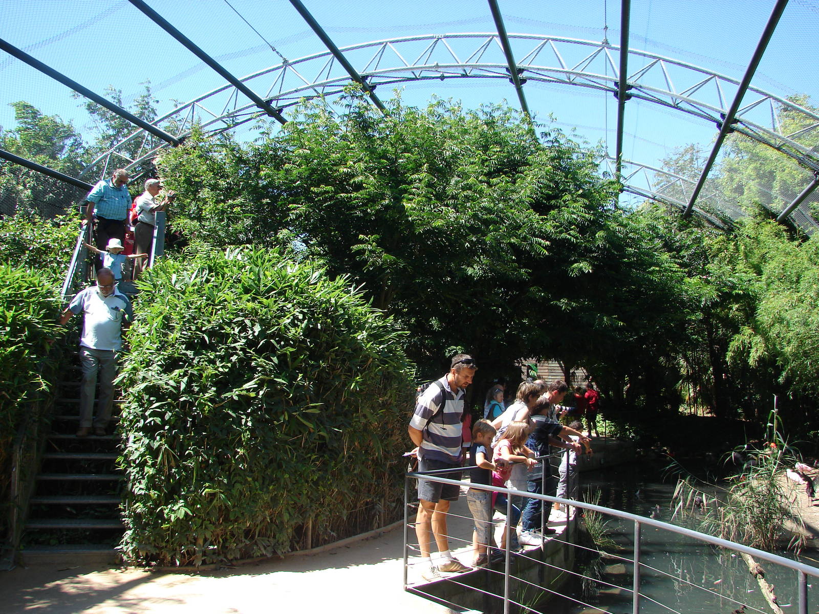 Pantanal walkthrough aviary