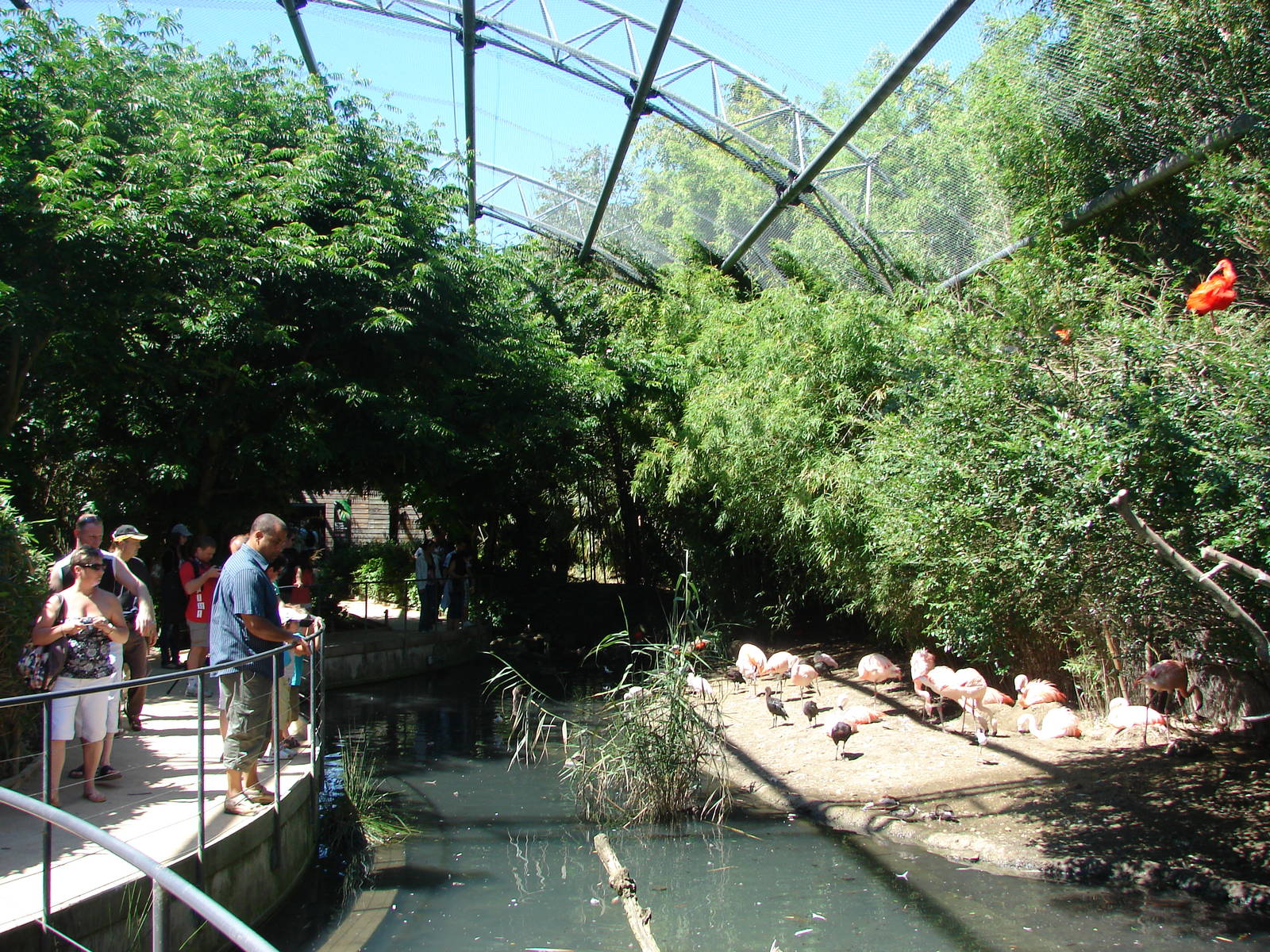 Pantanal walkthrough aviary