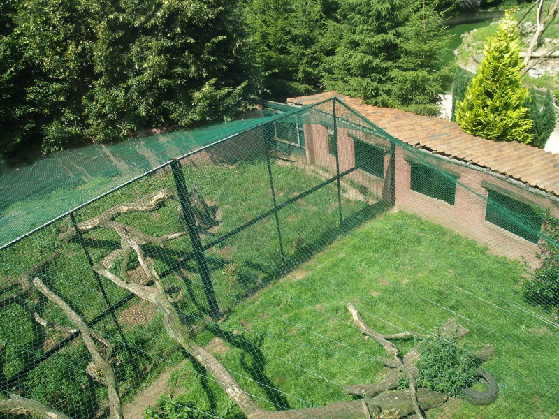 Panter and lynx enclosures (July 4th, 2009)