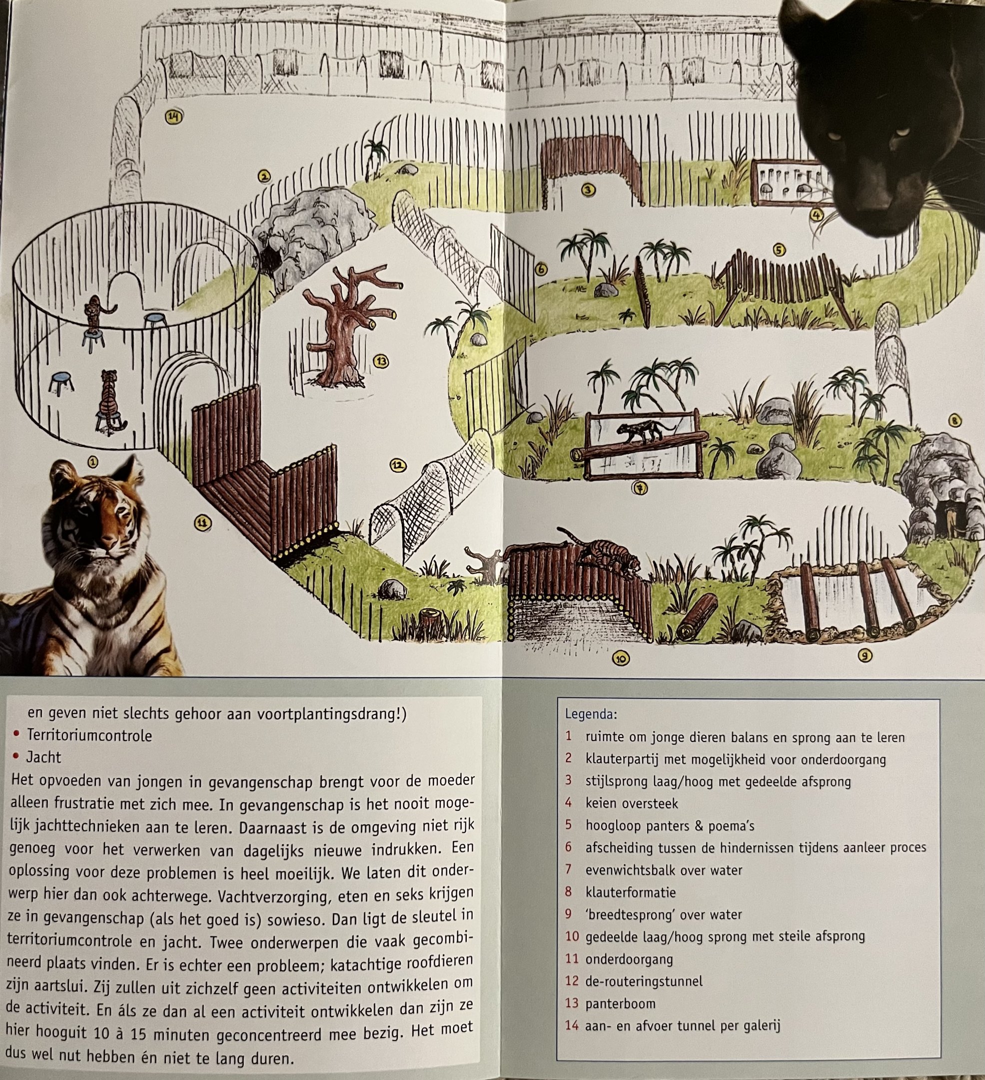 Pantera Zoo Map - undated